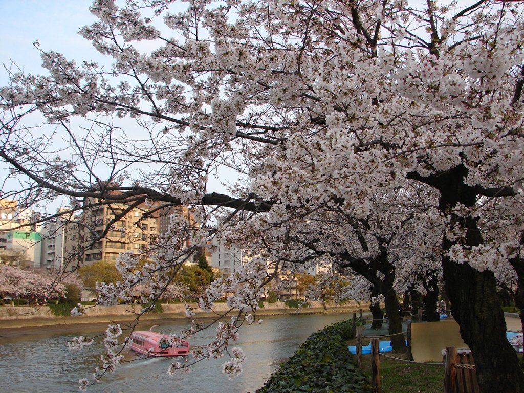 Japanese Scholarship with Giovanna Amador ( in&nbsp;Spanish)